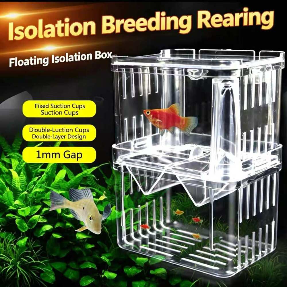 Double‑Layer Floating Aquarium Fish Breeding Isolation Box